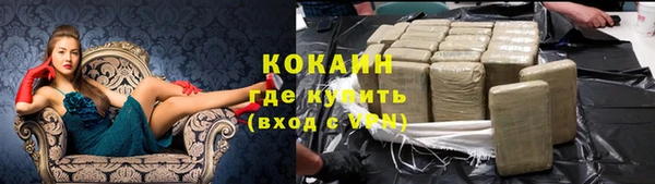 мяу мяу кристалл Корсаков