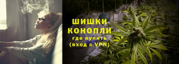 apvp Костерёво