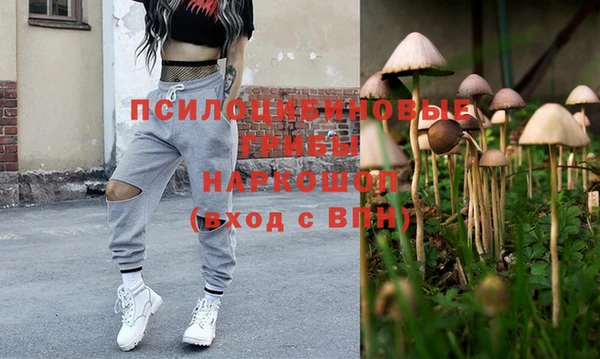 мяу мяу кристалл Корсаков