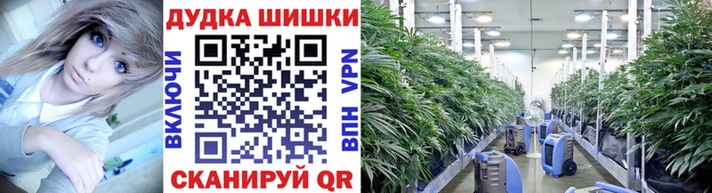 гидра ССЫЛКА  Лиски  Марихуана Ganja  купить закладку 